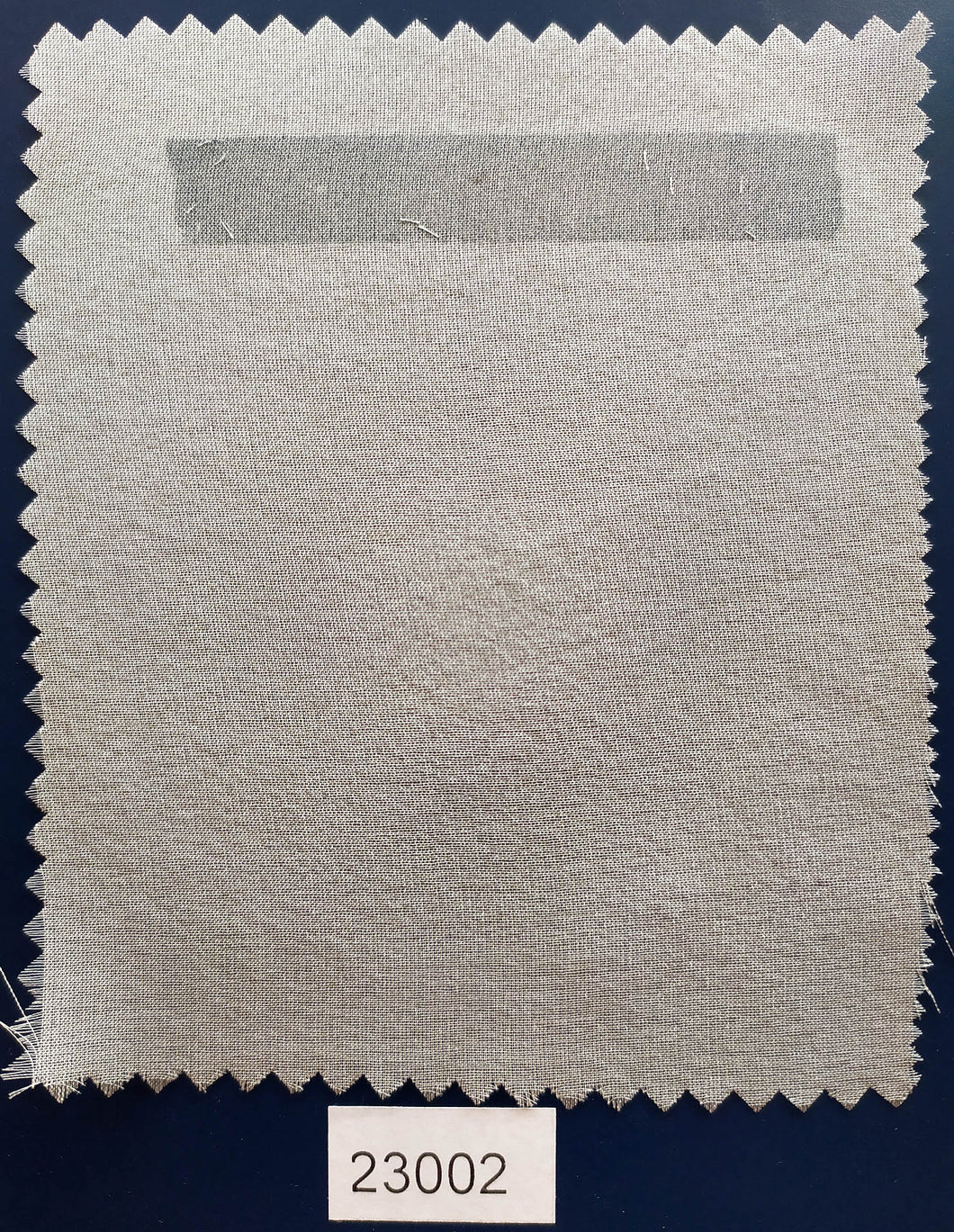 Chiffon 6.5