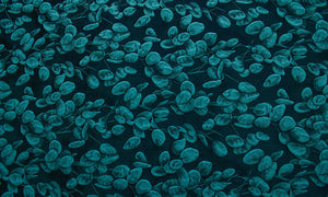 Jacquard 990101-144 - Co 63%, Se 31%, Pc 6%, Ancho 140 cm, Peso 238 gr/mtl